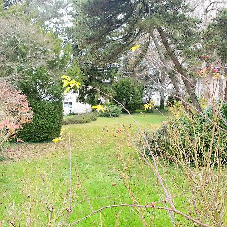 Apartament Banaba Wiesbaden Zewnętrze zdjęcie